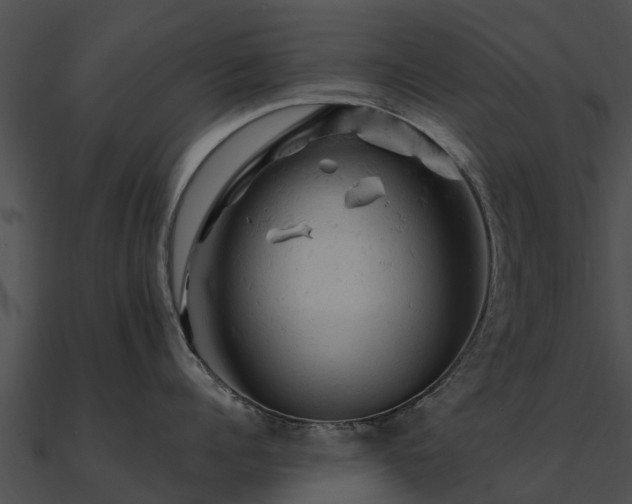 X0000090890960200708031049