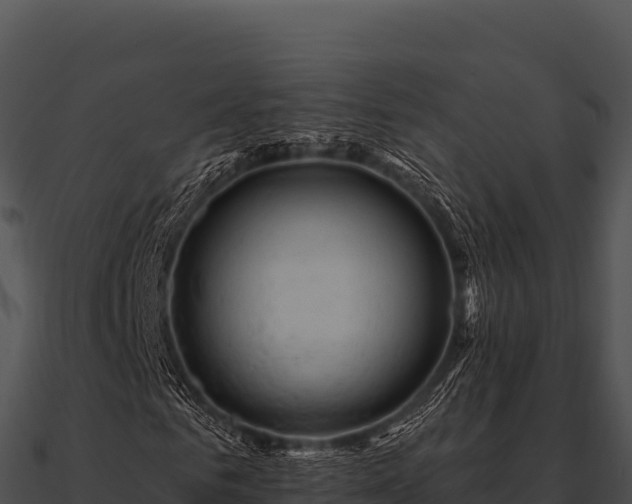 X0000090890961200708031049