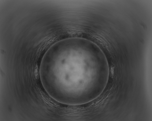 X0000090890963200708031049