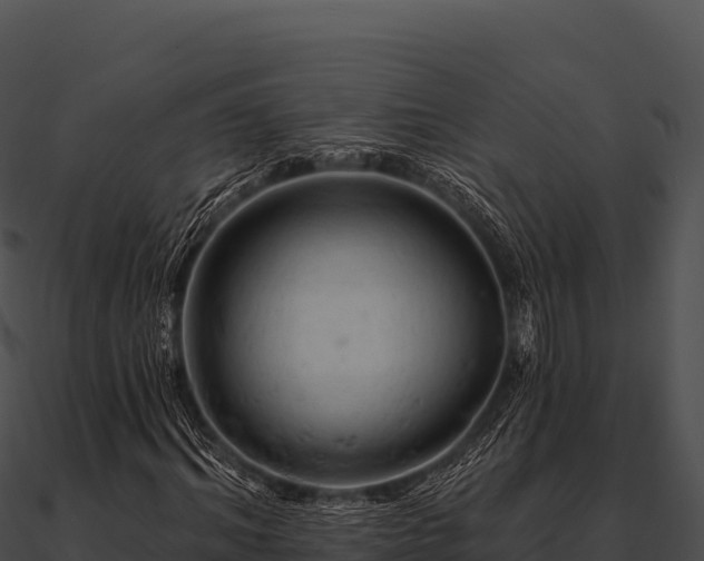 X0000090890964200708031049