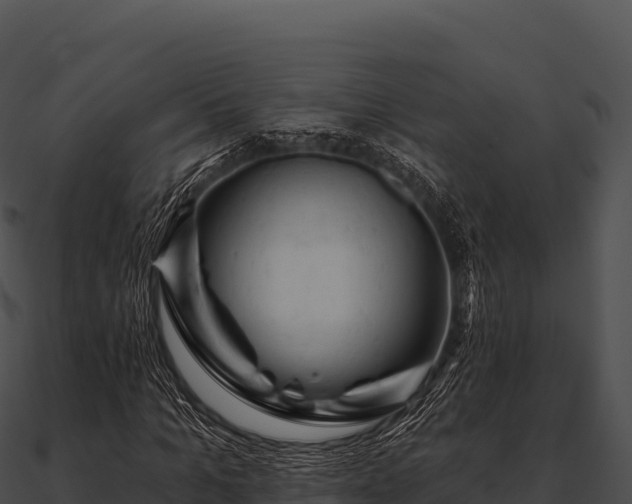 X0000090890965200708031049