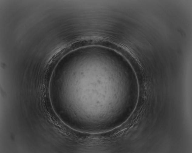 X0000090890967200708031049