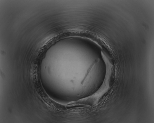 X0000090890968200708031049