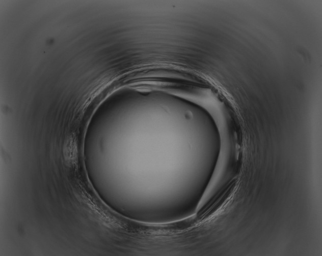 X0000090890969200708031049