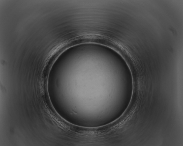 X0000090890970200708031049