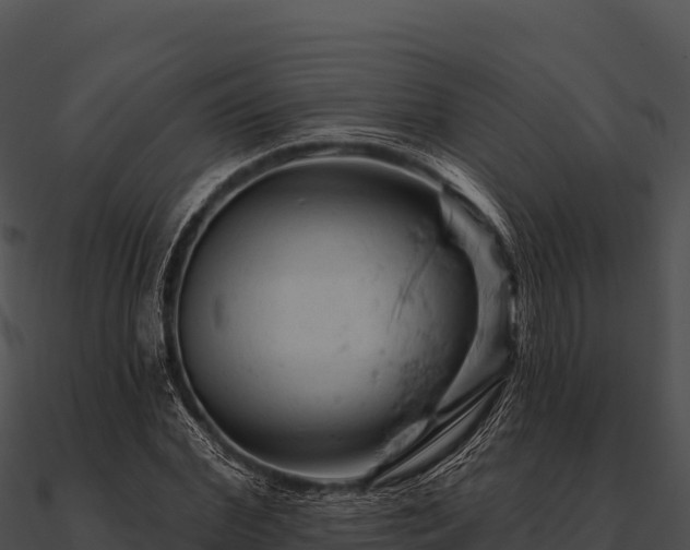 X0000090890972200708031049