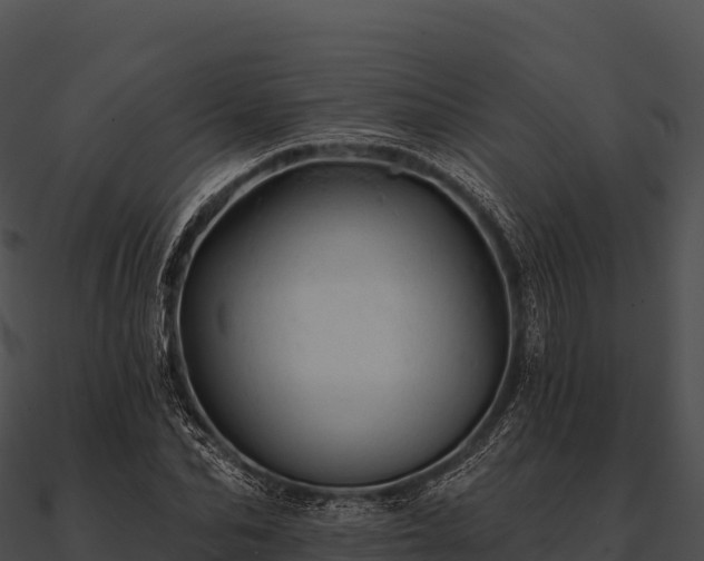 X0000090890974200708031049