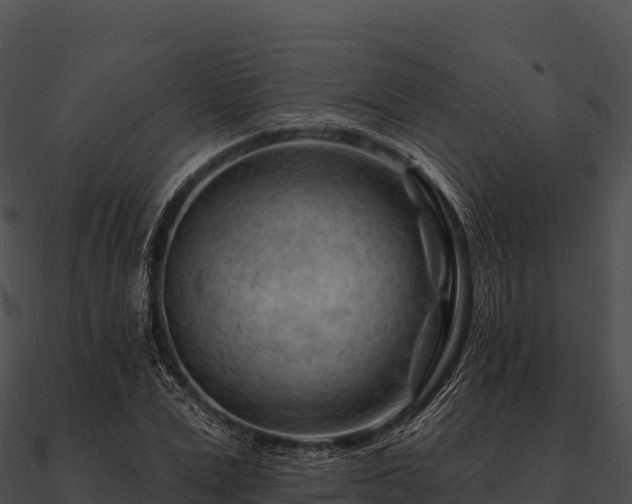 X0000090890975200708031049