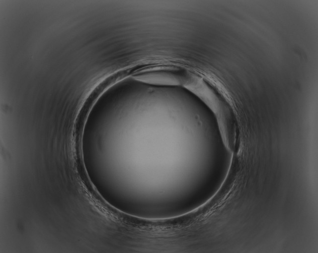 X0000090890976200708031049