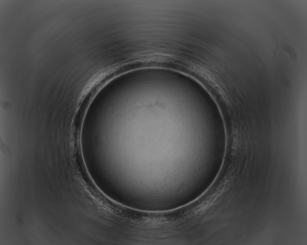 X0000090890978200708031049