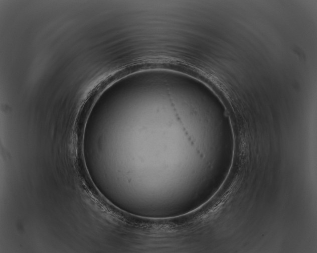 X0000090890979200708031049