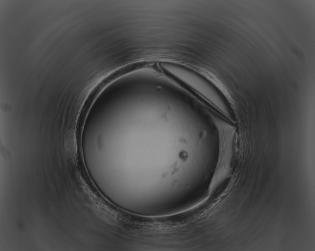 X0000090890980200708031049