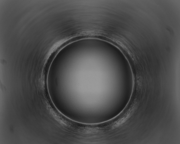 X0000090890981200708031049