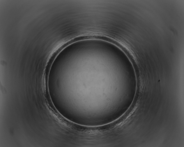 X0000090890982200708031049