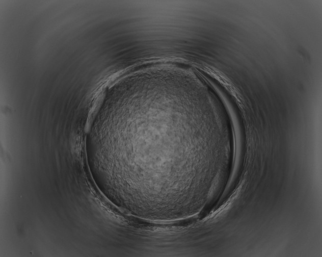 X0000090890985200708031049