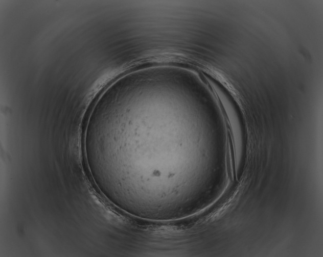 X0000090890986200708031049