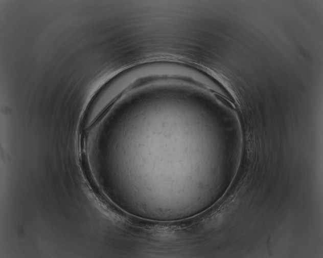 X0000090890987200708031048