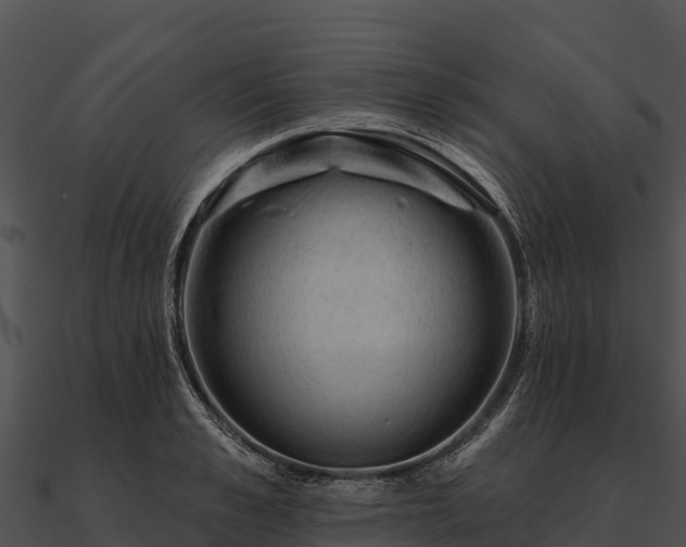 X0000090890989200708031048