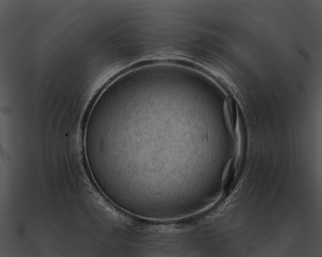 X0000090890990200708031048