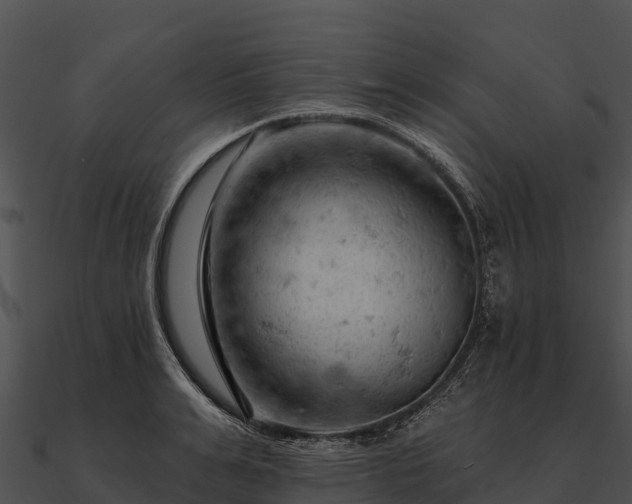 X0000090890991200708031048