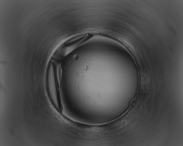 X0000090890992200708031048