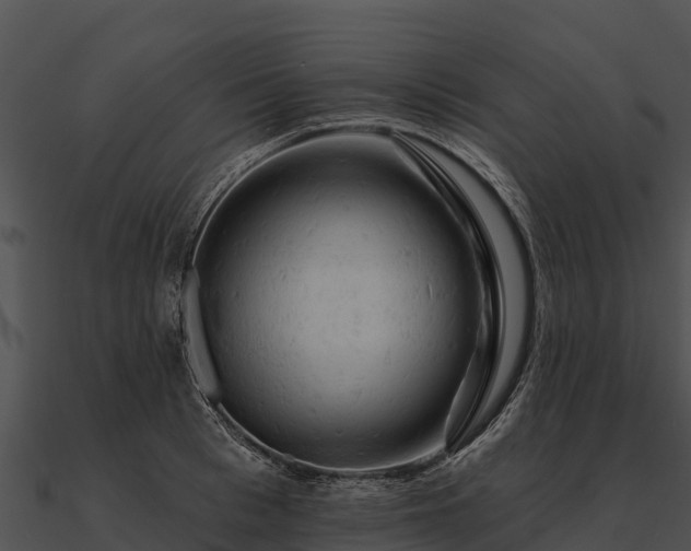 X0000090890993200708031048