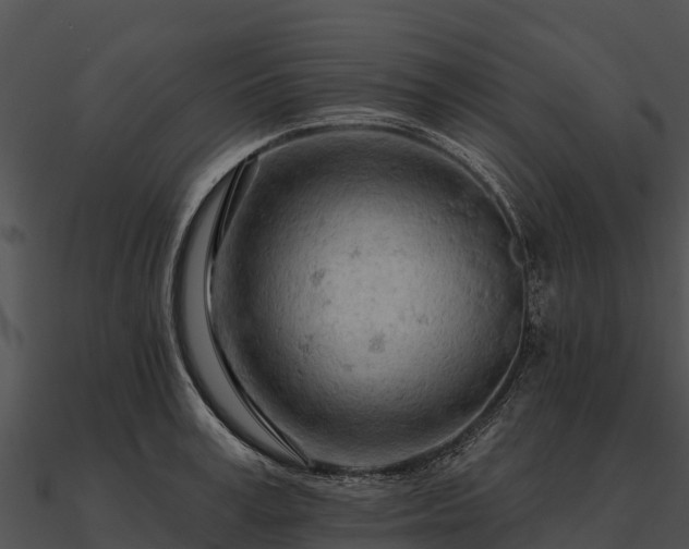 X0000090890995200708031048