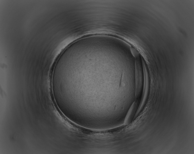 X0000090890998200708031048