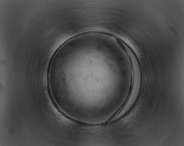 X0000090890999200708031048