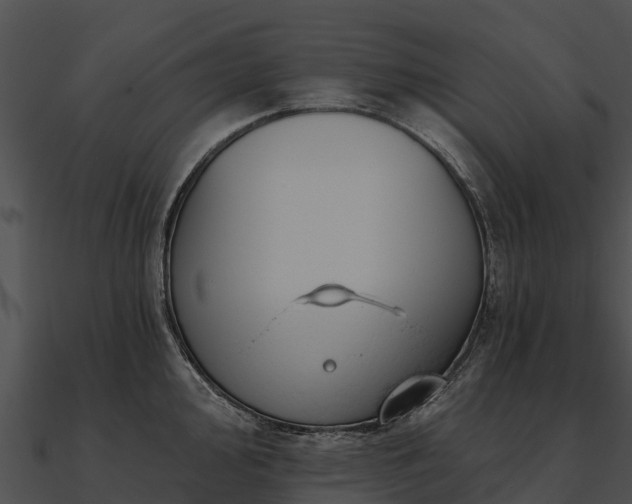 X0000090891000200708031048