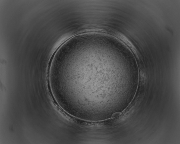 X0000090891002200708031048