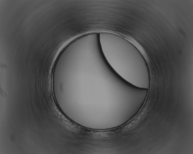 X0000090891004200708031048