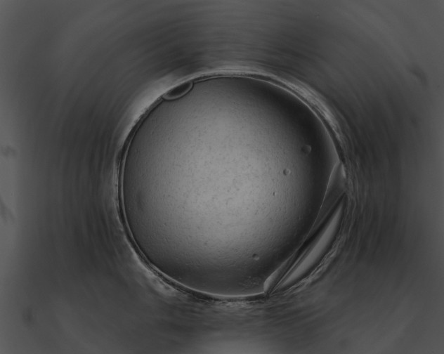 X0000090891006200708031048