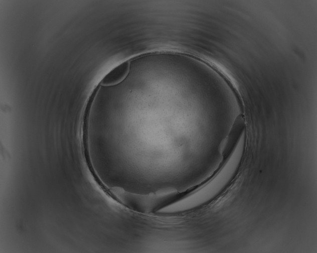 X0000090891007200708031048