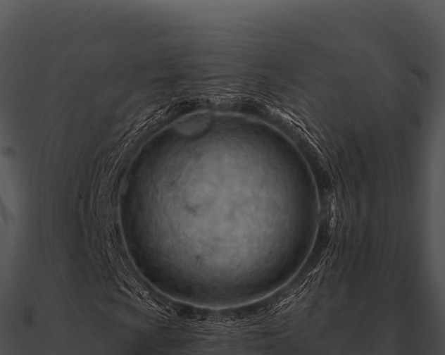 X0000090891009200708031047