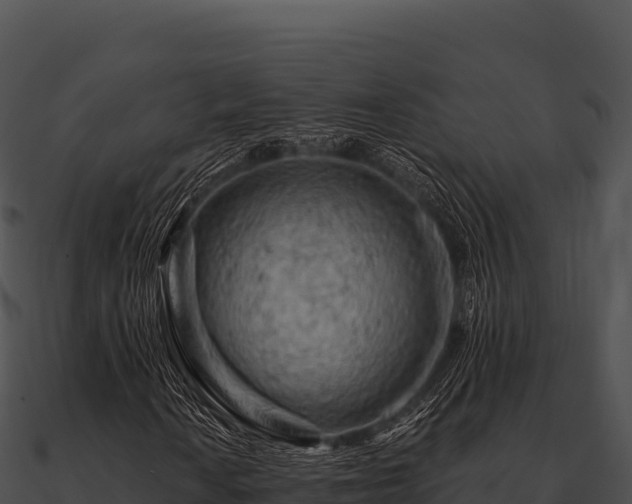 X0000090891010200708031047