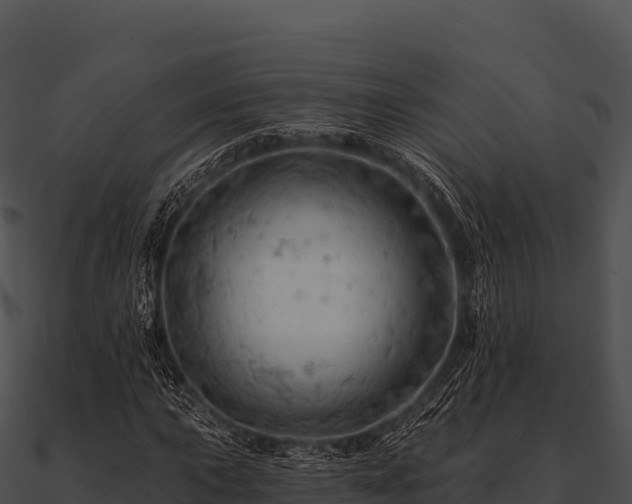 X0000090891015200708031048