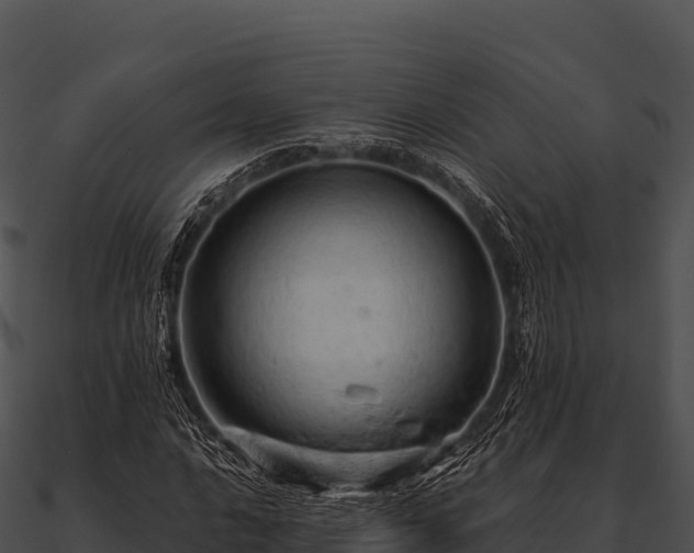 X0000090891016200708031048