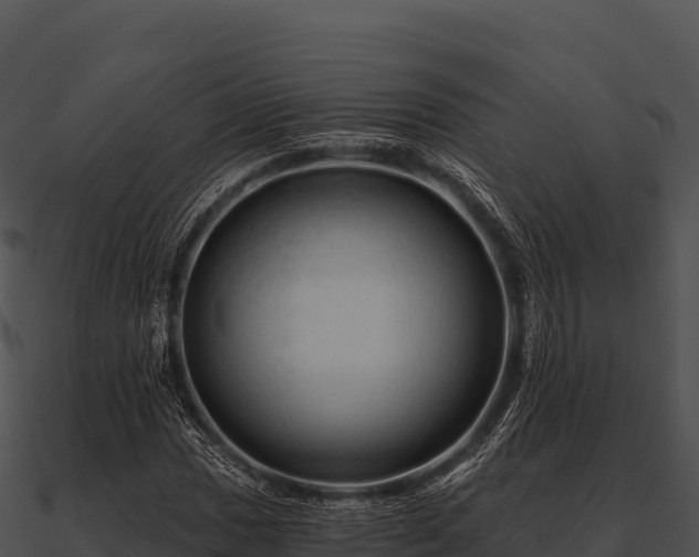 X0000090891017200708031048