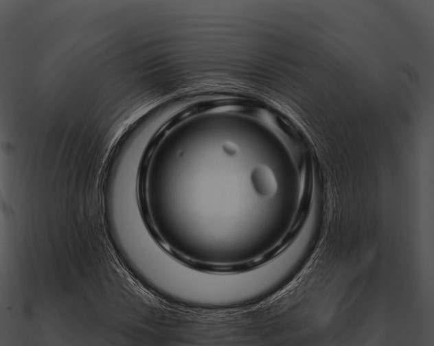 X0000090891018200708031048