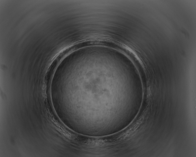 X0000090891019200708031048