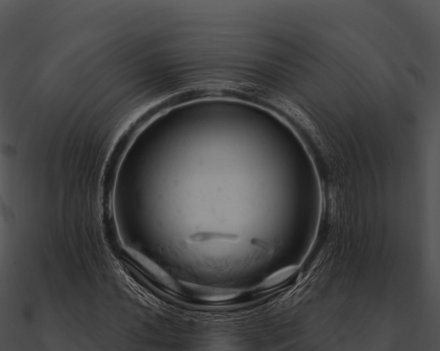 X0000090891020200708031048