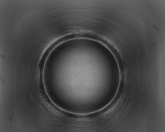 X0000090891021200708031048