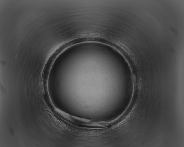 X0000090891022200708031048