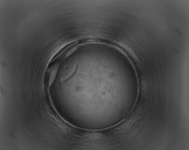 X0000090891023200708031048