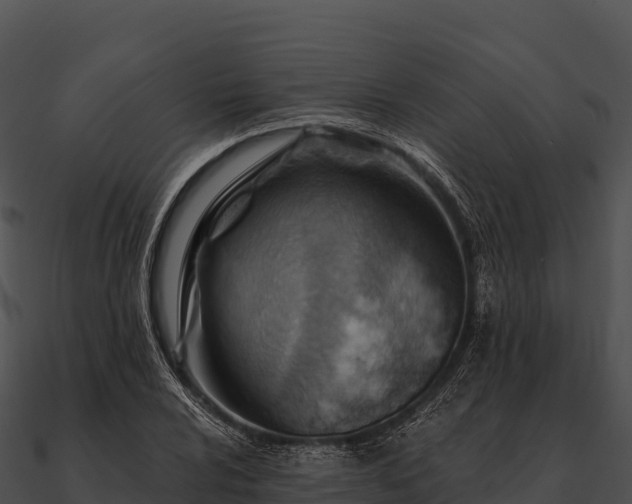 X0000090891024200708031048