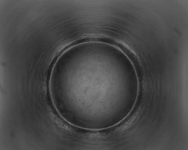 X0000090891025200708031048