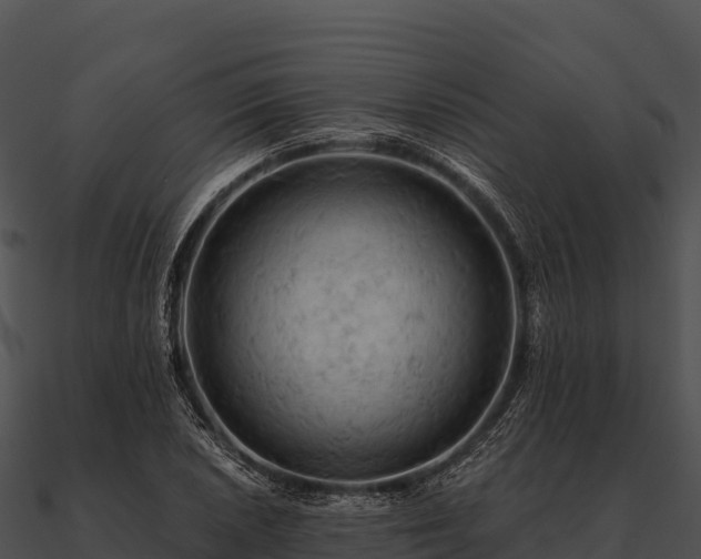 X0000090891026200708031048