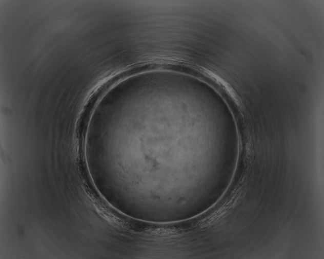 X0000090891027200708031048