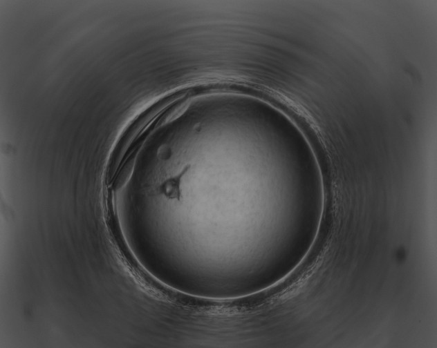 X0000090891029200708031048